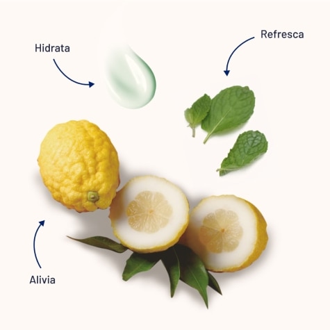 Product gallery 31266